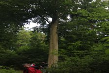 53_gc_stammtisch_42_20150506